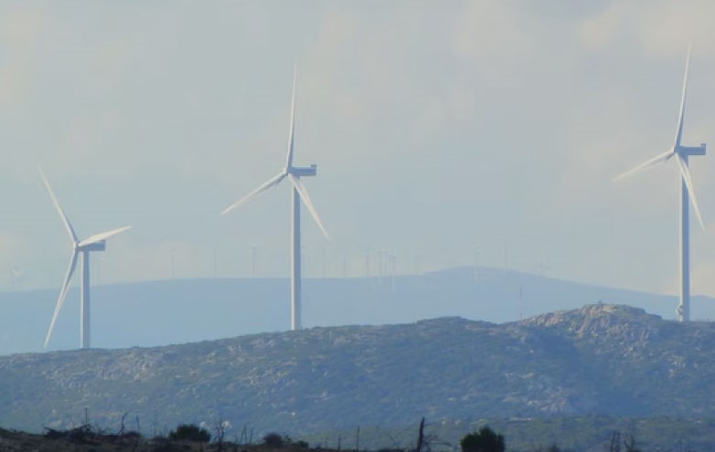 Windfarms in field with sunset