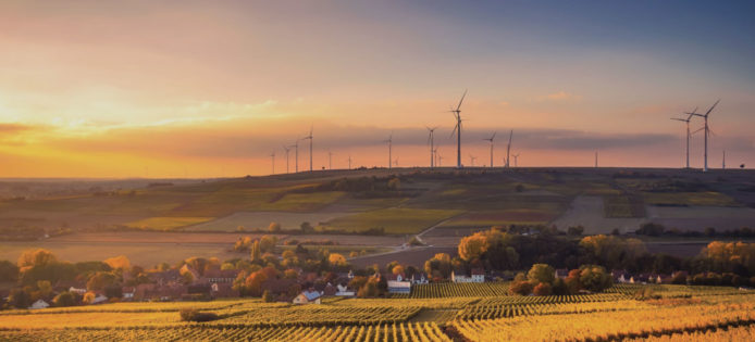 Windfarms in field with sunset