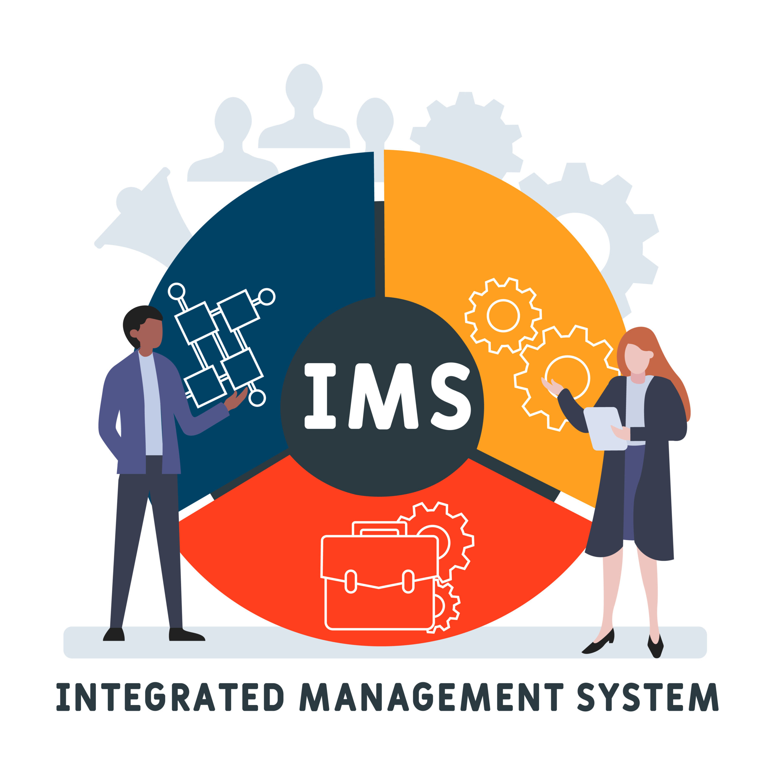 Safety Systems - IMS Supply